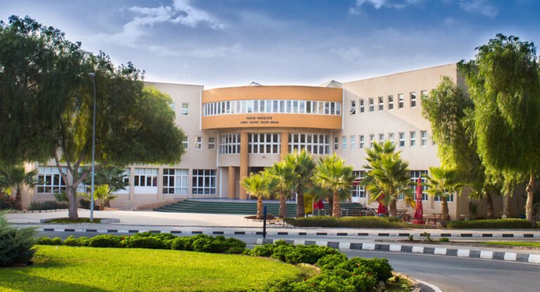 2025 Eastern Mediterranean University Scholarship in Turkey: How to Apply